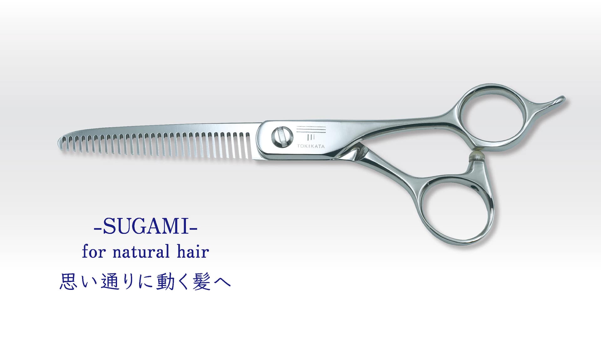 TOKIKATA SUGAMI トキカタ スガミ SUGAMI - TOKIKATAサイト
